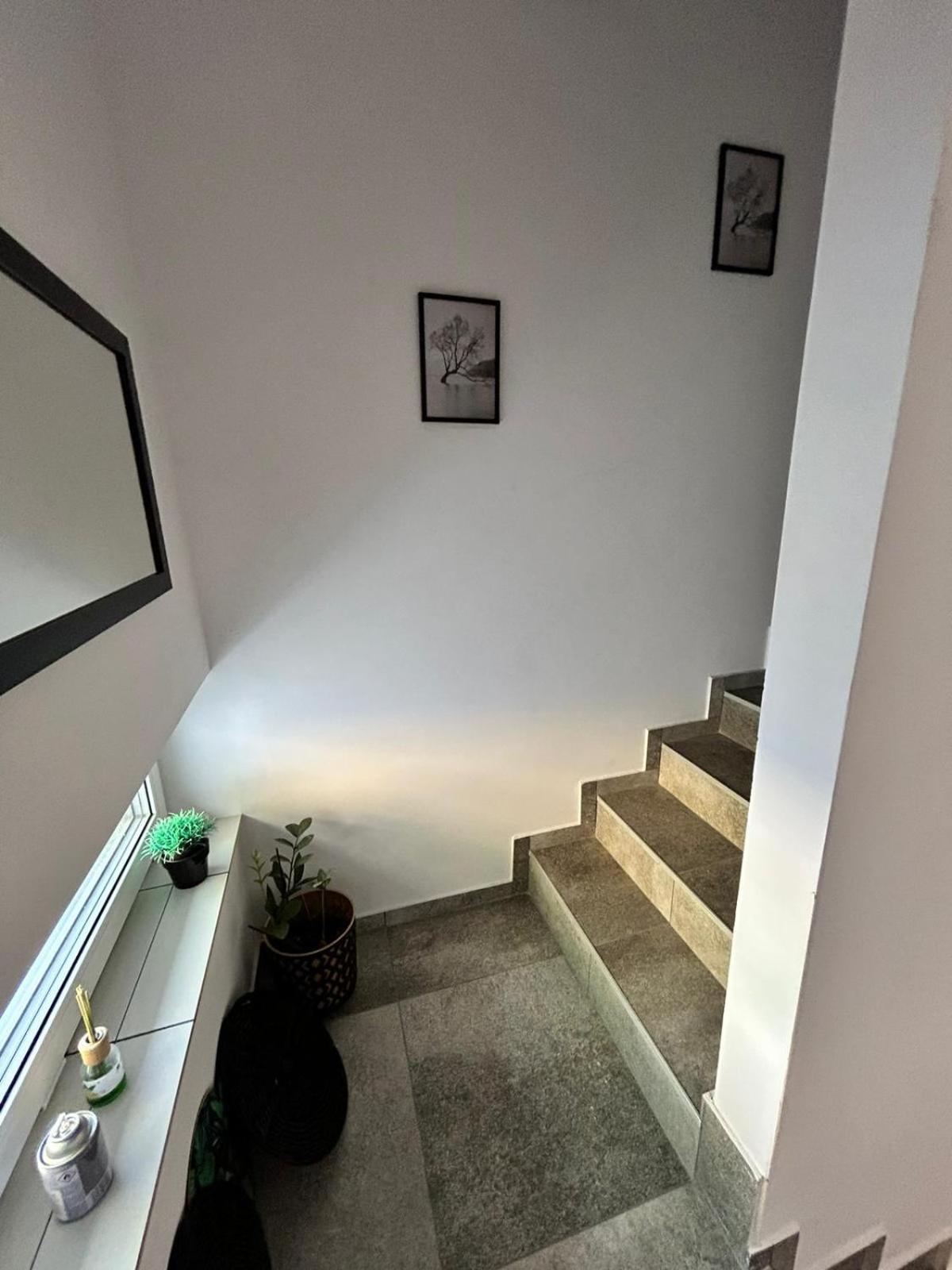 Poziom -1 Homestay