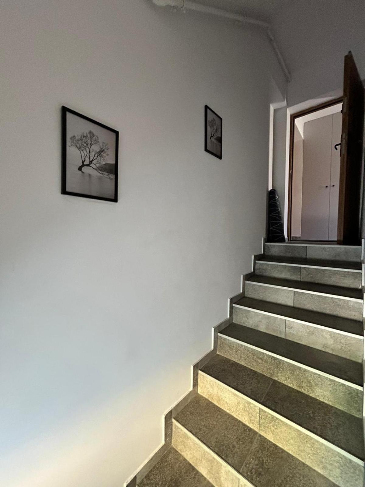 Homestay Poziom -1